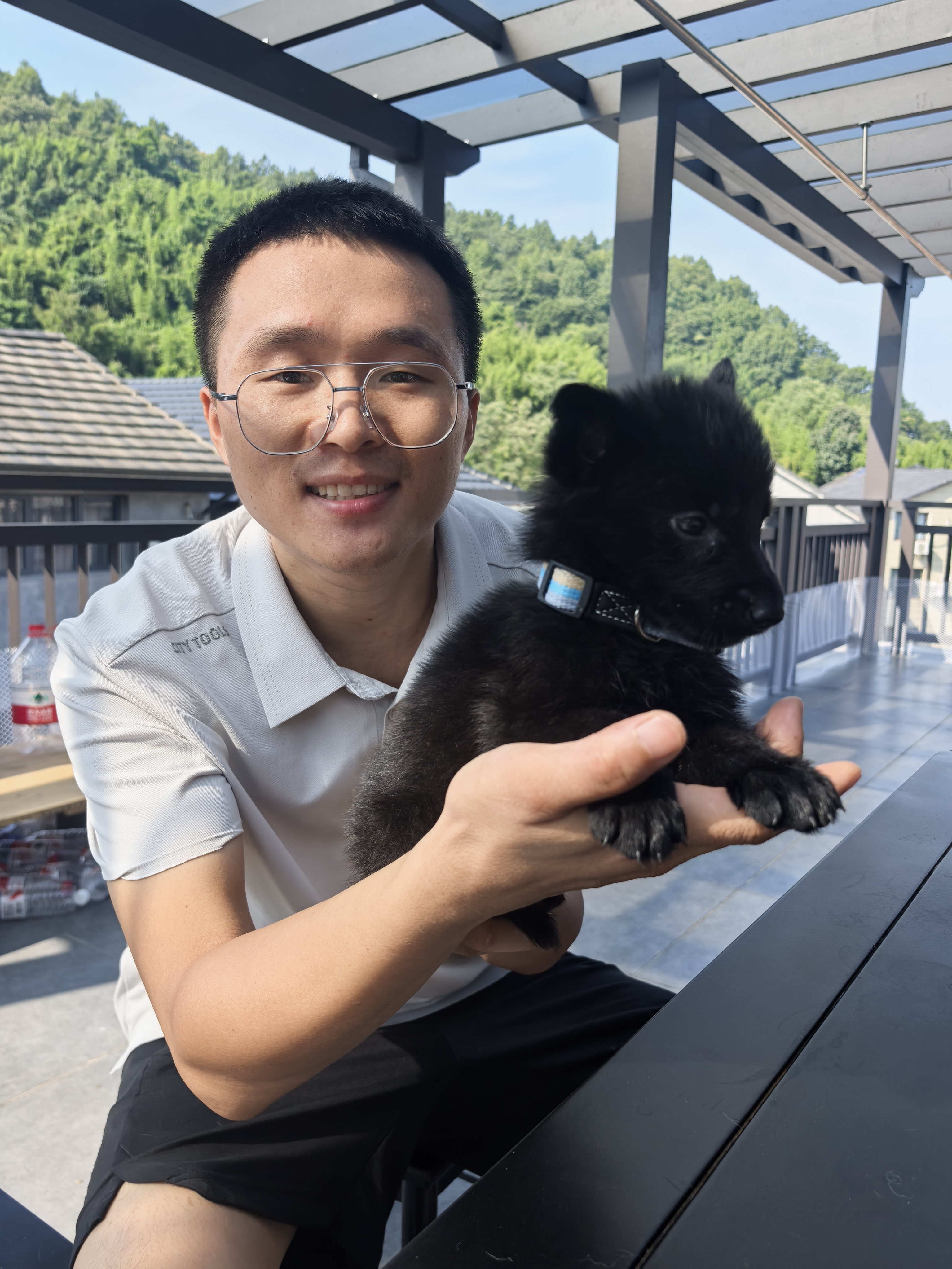 三只双血统东德（带芯片+防丢定位器）